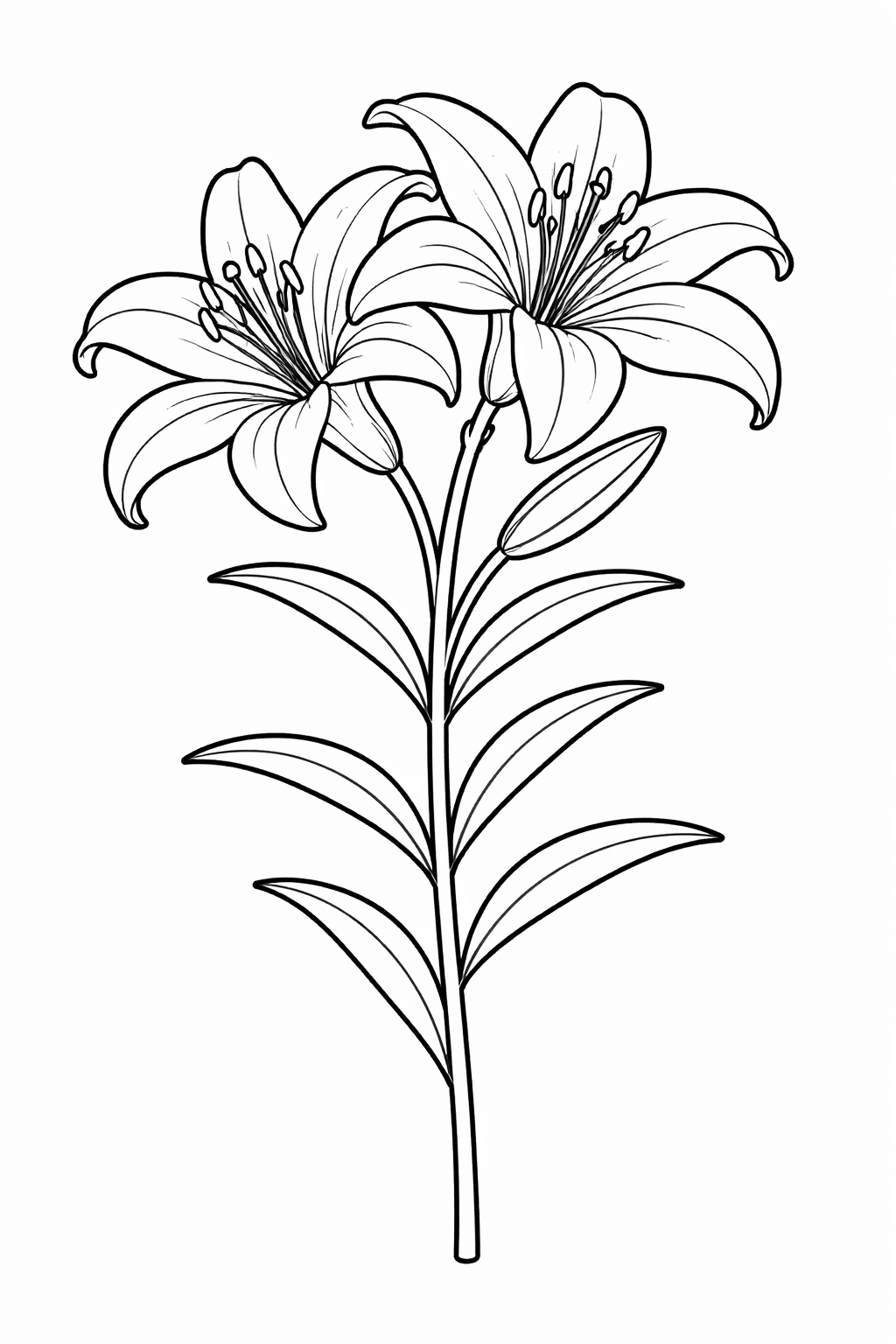 Lilie in Schwarz-Weiß - Ausmalbild