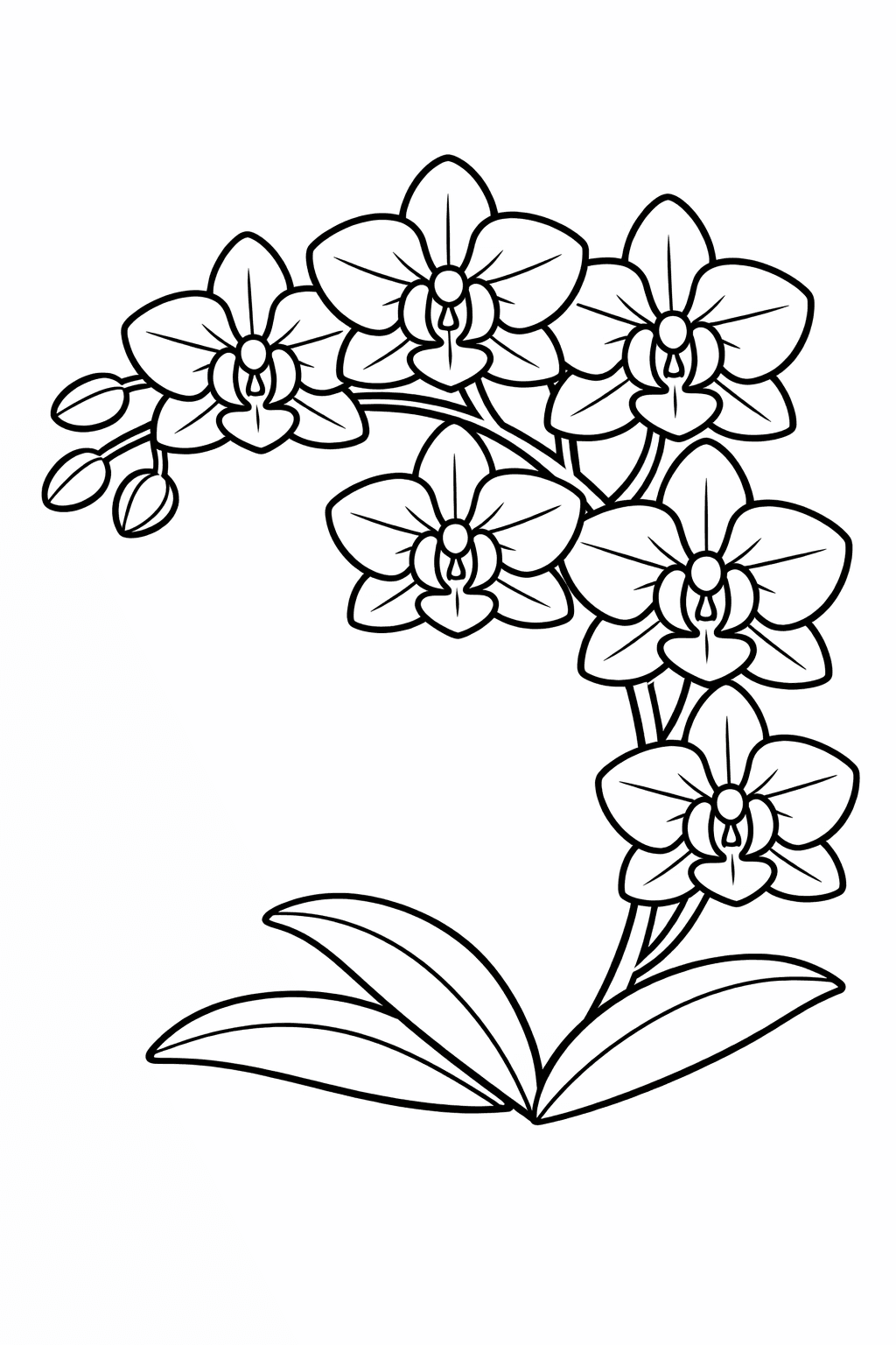 Orchideenblüte - Ausmalbild